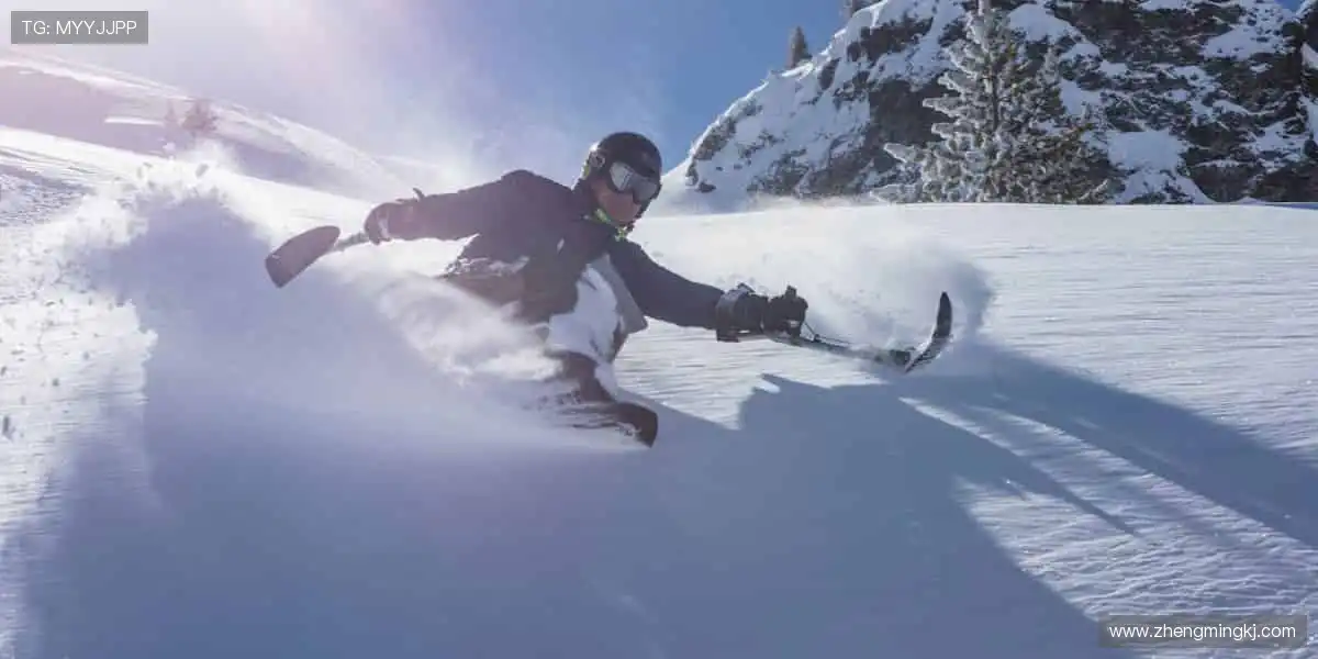 💻指尖滑动,实时掌控赛场风云!📡