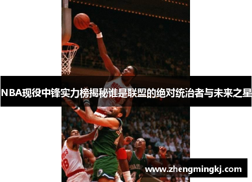 NBA现役中锋实力榜揭秘谁是联盟的绝对统治者与未来之星