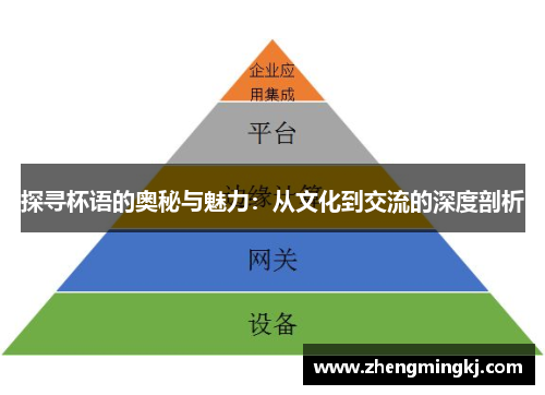 探寻杯语的奥秘与魅力：从文化到交流的深度剖析